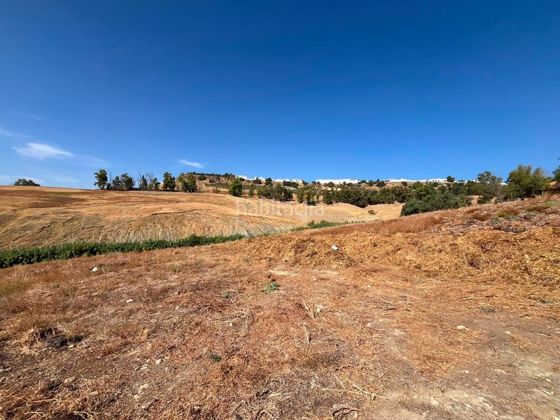 Foto f54a83c0-a9e2-45be-9296-88cd833ca575. Finca rústica a Carmona
