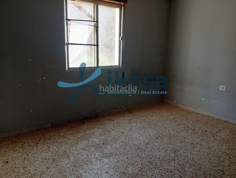 Foto e41b3ebe-fbee-45c9-bf26-9bc136825956. Pis a Balanegra