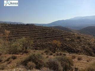 Masia a Ugíjar. Finca rustica de 90.000 metros en ugijar