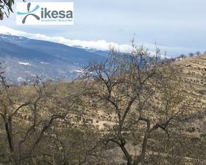 Masia a Ugíjar. Finca rustica de 2.680 metros cuadrados