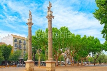 Foto 45969e0e-de04-451b-ae4c-5b6d328e68d3. Dúplex a calle virgen del carmen dolorosa 69 a Feria Sevilla
