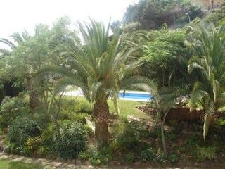 Lloguer Pis  Carril castell. ¡gran vivienda sin amueblar en el limonar!