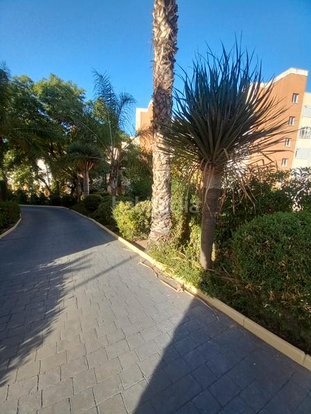 Foto 1f69c9b1-98c9-4f8b-bd94-b53a69400939. Rent flat with parking pool in Pinares de San Antón Málaga