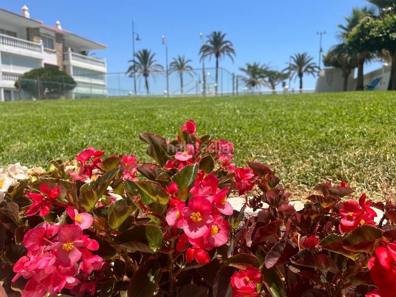 Foto b366651e-7bdf-4210-a1b4-b8bba92b78bb. Erdgeschoss mit pool in El Bajondillo Torremolinos