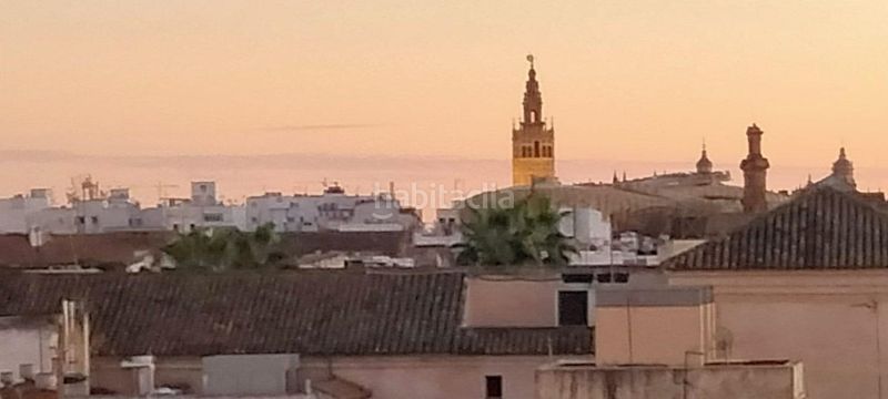 Foto 6fc3cedb-5056-43e0-9e4c-a9dcd19e608a. Pis a San Gil Sevilla