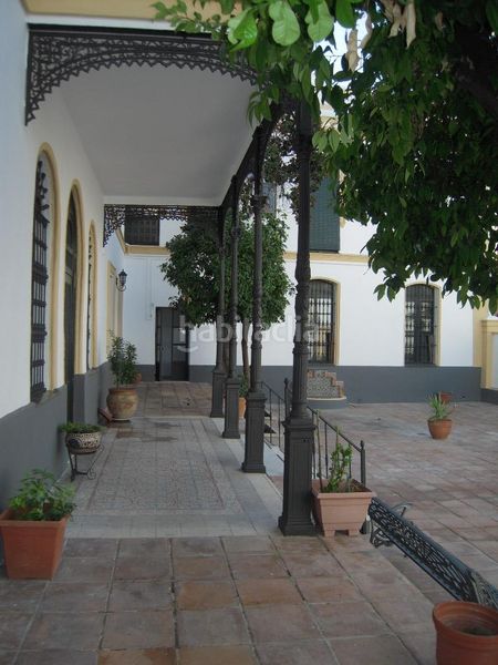 Foto b404ed2c-a83e-40f2-8715-d2c79e1f1ced. Pis a San Gil Sevilla