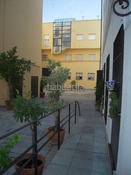 Foto d56db83f-01d5-481d-b34e-f54898cf13f4. Pis a San Gil Sevilla