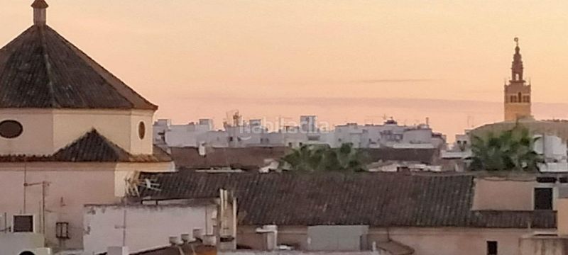Foto dd36af6b-14bb-421e-b46d-7400051ff427. Pis a San Gil Sevilla