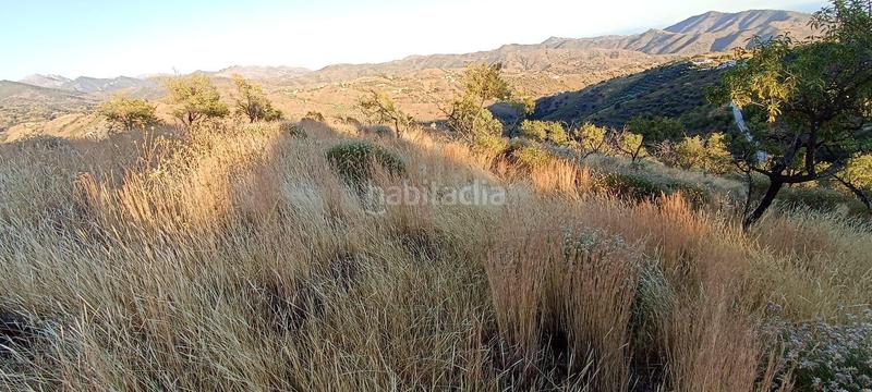 Foto 0db8f50f-1aac-4ac5-8b5a-f2f2852aa0b0. Propriété dans Sedella