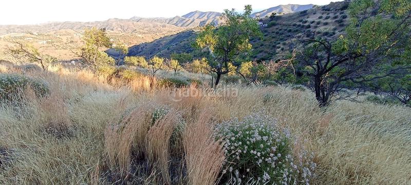 Foto 4918f3a1-35e6-43d9-88e5-d78f9fb51871. Propriété dans Sedella