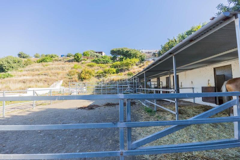Foto ccbf7741-b698-4090-9053-adce4d16c65c. Casa preciosa finca rústica con vistas al mar naturaleza precio negociable en Mijas