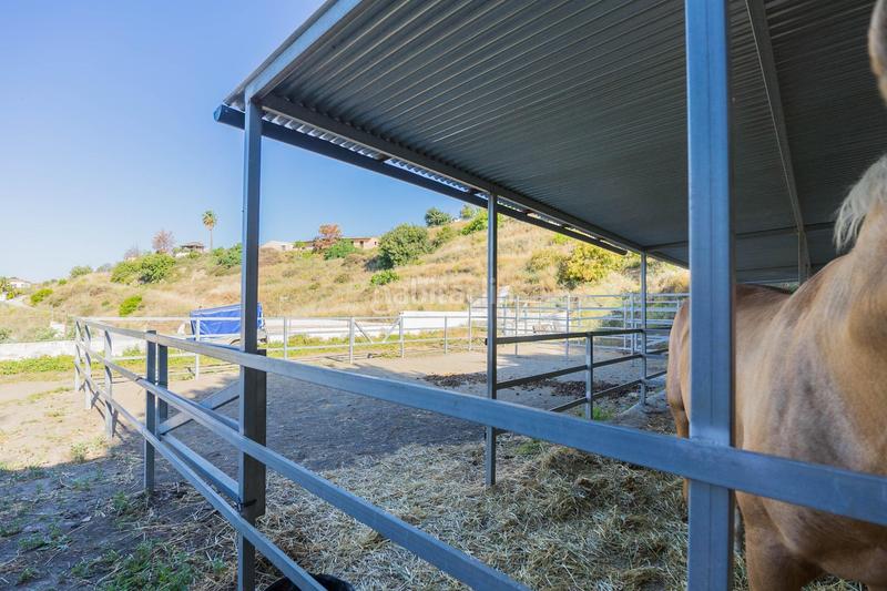 Foto cea13f75-9646-4e47-8928-bb8e58821901. Casa preciosa finca rústica con vistas al mar naturaleza precio negociable en Mijas
