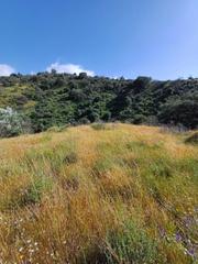 Terreny residencial a Coín. Parcela rústica en paraje carboneado, coín