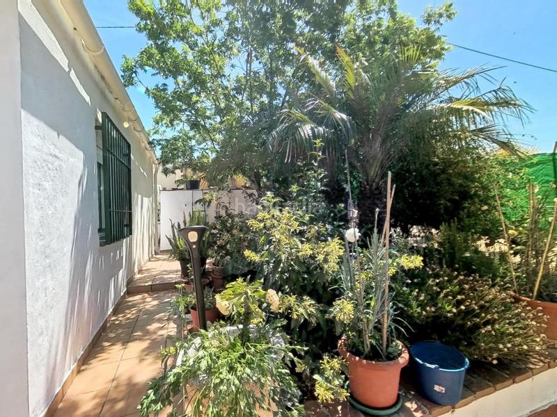 Foto a6ce4684-3d56-44c2-8c66-68f6f616d96f. Casa  de campo ! en Centro Alhaurín el Grande
