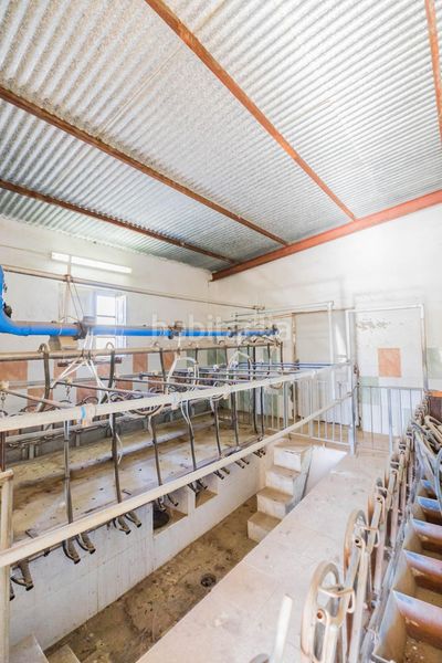 Foto 09a9badf-f7f2-4447-b4c9-718035bffc43. Masia a Tolox