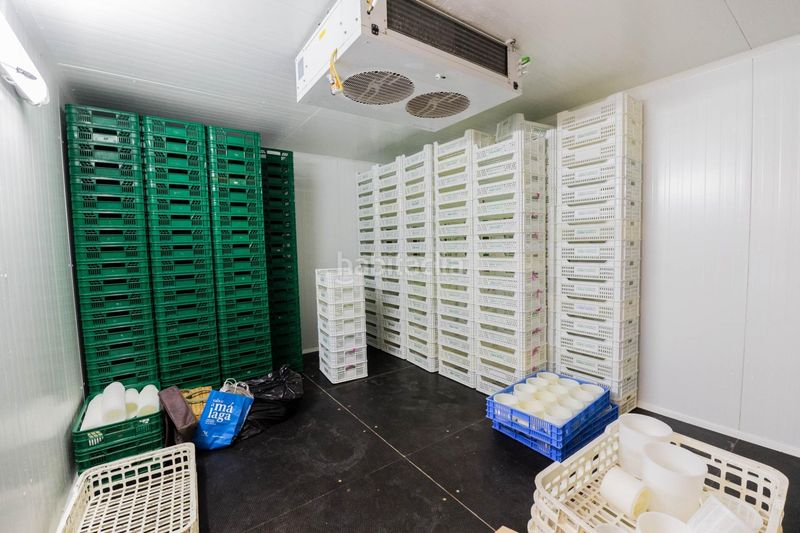 Foto fea1cb15-e2fb-4c3f-a476-c8f1da57bb16. Masia a Tolox