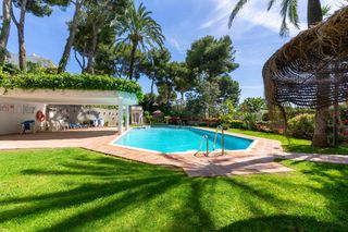 Estudi a Riviera del Sol