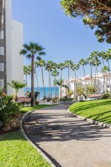 Estudio  Urbanizacion  algaida. Estudio en venta con licencia turística y vistas al mar en urban