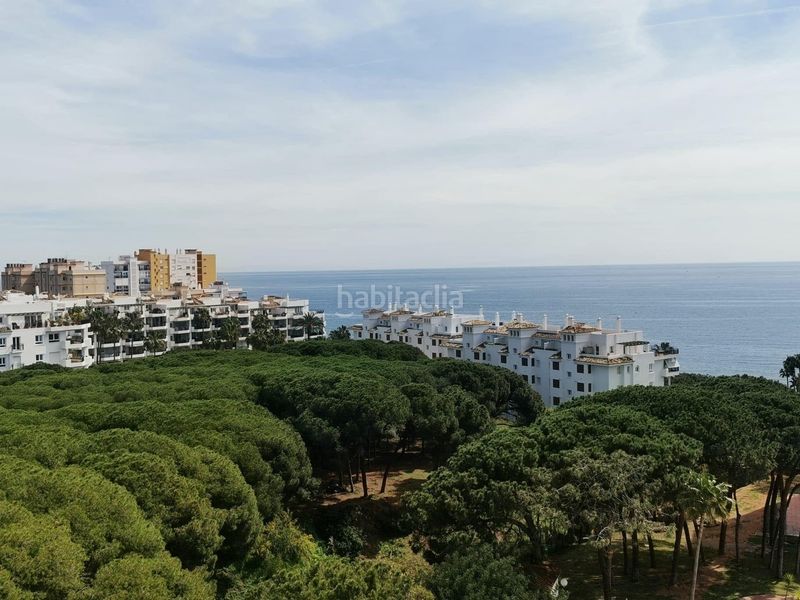 Foto f878ee79-2547-4709-bffa-83ec97fe4a38. Estudi amb piscina a Río Real Marbella