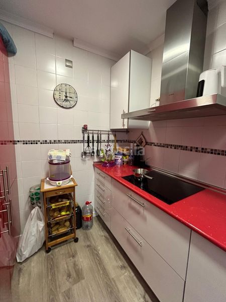 Foto 7a74d878-b6a7-43a3-b633-0d7b25c1c078. Planta baixa a Barrio de Ciudad Jardín Málaga