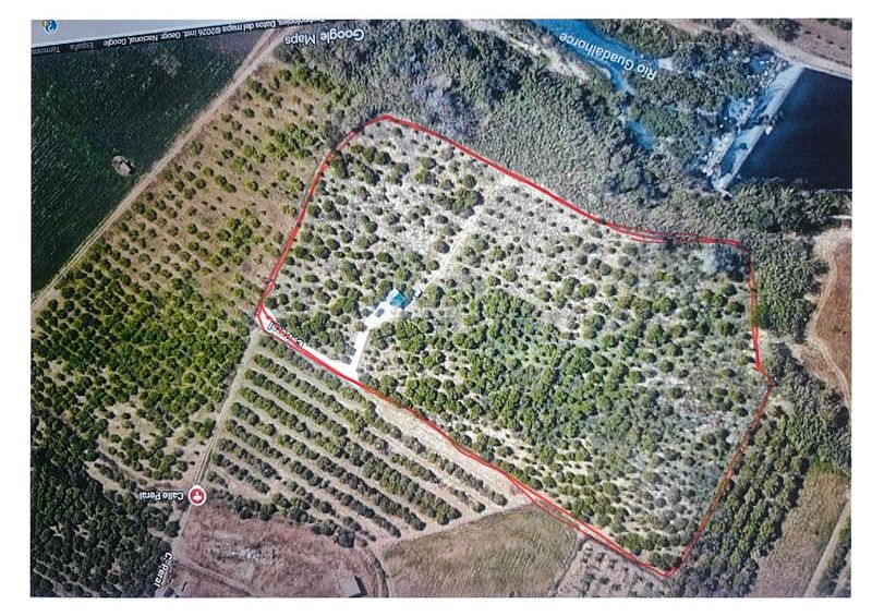 Foto aea6a804-b3e2-477d-b590-6f16d5c37b04. Finca rústica a Campanillas Málaga