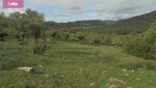 Masia a Santiago - Coronación. Magnifica dehesa proxima a jerez de la frontera