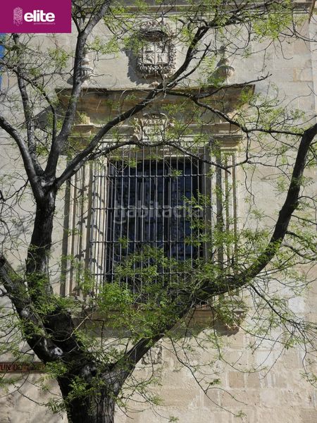 Foto 1b009982-0087-493e-9636-e0a1eb1d095d. Casa a Centro Jerez de la Frontera