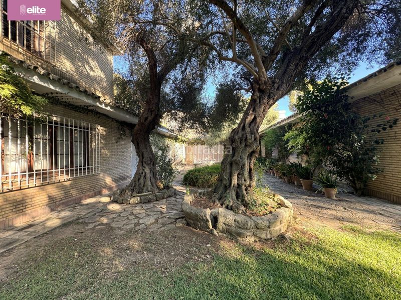 Foto 79fd8708-b8ab-46ea-a37c-69ce617ffbd1. Chalet magnifico chalet en Parque Avenida Jerez de la Frontera