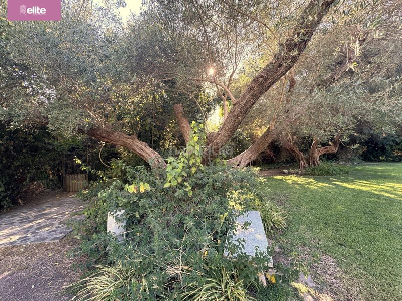 Foto d25f4762-ba0b-49a2-b794-2a85fd4eb04c. Chalet magnifico chalet en Parque Avenida Jerez de la Frontera