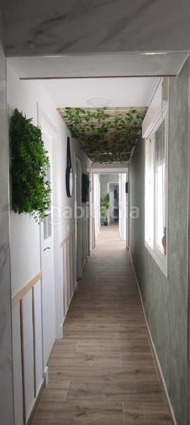 Foto 5421b608-7e81-4cf6-be54-bc97ce8eeb7d. Flat in Alameda - Mentidero - Teatro Falla Cádiz