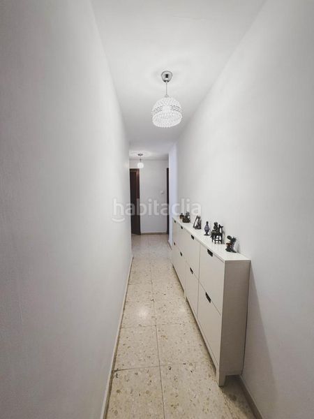 Foto 98caaebb-1e66-4555-91f4-e153c55bacf9. Pis a Alameda - Mentidero - Teatro Falla Cádiz