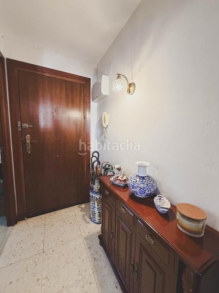 Foto c4eb4277-e153-47a8-bdcf-e54279457da1. Pis a Alameda - Mentidero - Teatro Falla Cádiz