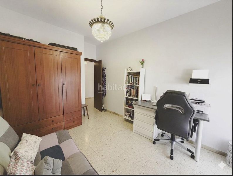 Foto d3748c9f-0a9e-4c63-ac10-7017b7bd9118. Pis a Alameda - Mentidero - Teatro Falla Cádiz