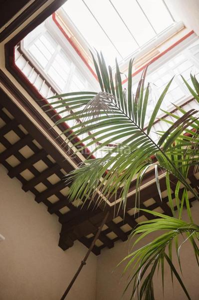 Foto 8c62d985-c505-4843-94d5-9b04b08bacd4. A tre livelli in Centro Histórico Cádiz