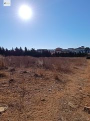 Rural plot in Monteolivete-Camino Sevilla. Cuatro mil metros cuadrados...