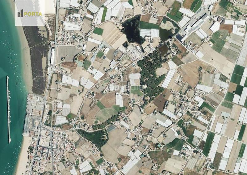 Foto 5fc12357-09ee-4752-ae3b-46da22892829. Fondo rustico in Monteolivete-Camino Sevilla Sanlúcar de Barrameda