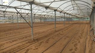 Terreno residenziale in Las Palmeras-Dehesilla. Finca con invernadero