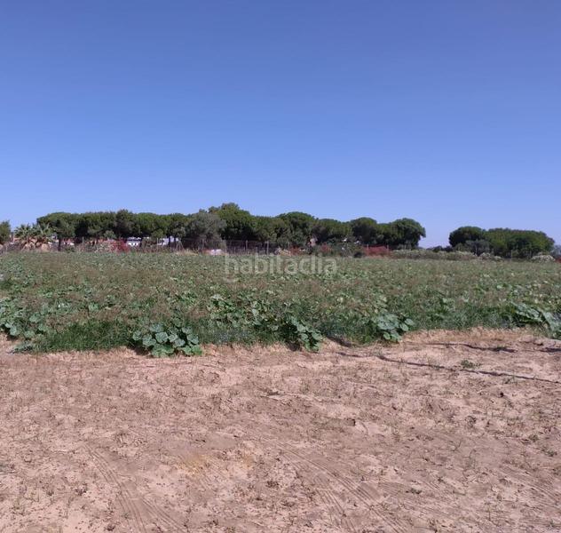Foto 682b958f-c55a-4164-b775-f7357c50cb09. Terrain résidentiel dans Monteolivete-Camino Sevilla Sanlúcar de Barrameda