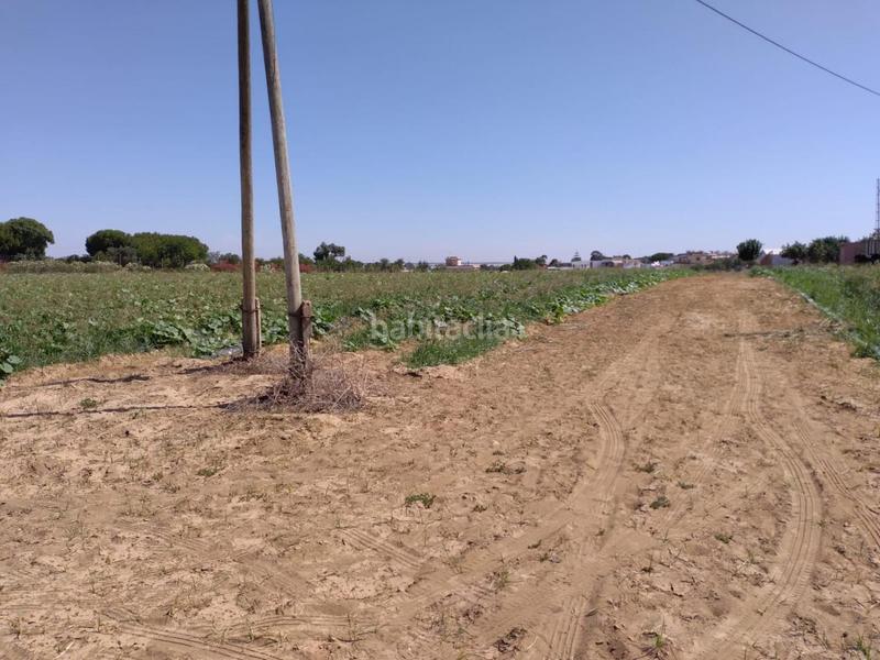 Foto bf9226a9-2327-4f9d-ac89-9e66c66564c7. Terrain résidentiel dans Monteolivete-Camino Sevilla Sanlúcar de Barrameda