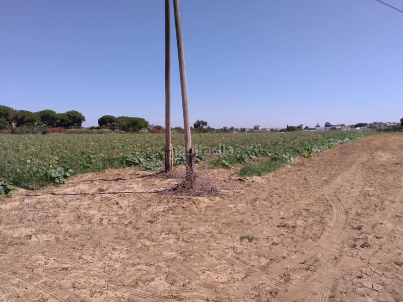 Foto f4363463-6ddf-4afb-a0d4-f293b3e67f51. Terrain résidentiel dans Monteolivete-Camino Sevilla Sanlúcar de Barrameda