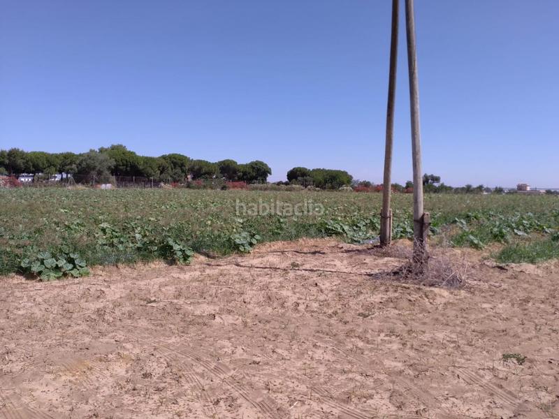 Foto 3aaebfbc-26bf-41be-b4e1-1da5634bea30. Terreno residenziale in Monteolivete-Camino Sevilla Sanlúcar de Barrameda