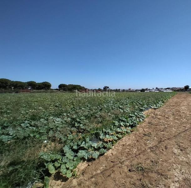 Foto 85e9575c-4b5c-41dd-b0ab-3ed15f1515d1. Terreno residenziale in Monteolivete-Camino Sevilla Sanlúcar de Barrameda