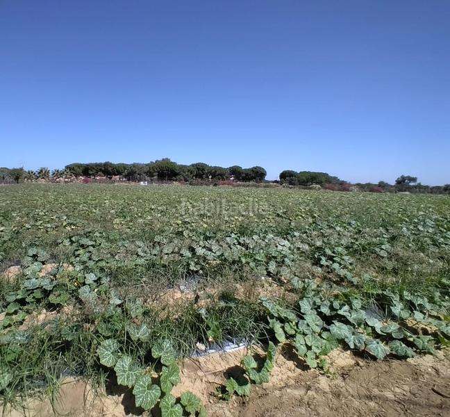 Foto acac46b4-a375-401f-a655-33894c6908fa. Terreno residenziale in Monteolivete-Camino Sevilla Sanlúcar de Barrameda