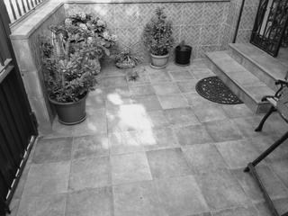 Casa adossada a Bonanza-Avda de Huelva-Barrio Andalucia