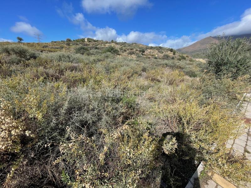 Foto 55d6bf08-2f22-43ee-ac75-99ed9e1f4868. Terrain industriel dans Casares pueblo Casares