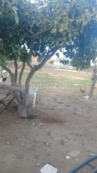 Foto 2a307f41-7ec8-4f2b-824a-1de80167c8e7. Casa en La Jara Sanlúcar de Barrameda