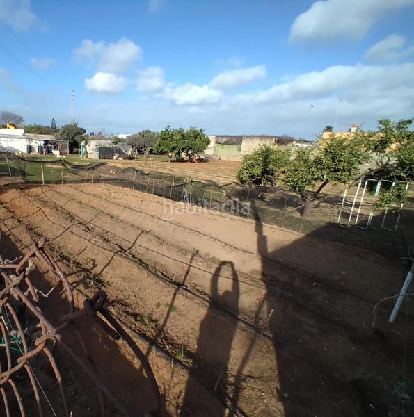 Foto 9d80158e-ce8b-40e1-b895-80de72d71871. Casa en La Jara Sanlúcar de Barrameda