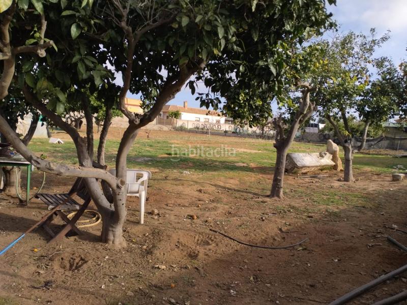 Foto 9e1983b6-ff7c-4a5b-b8ae-bc5ef1315298. Maison dans La Jara Sanlúcar de Barrameda