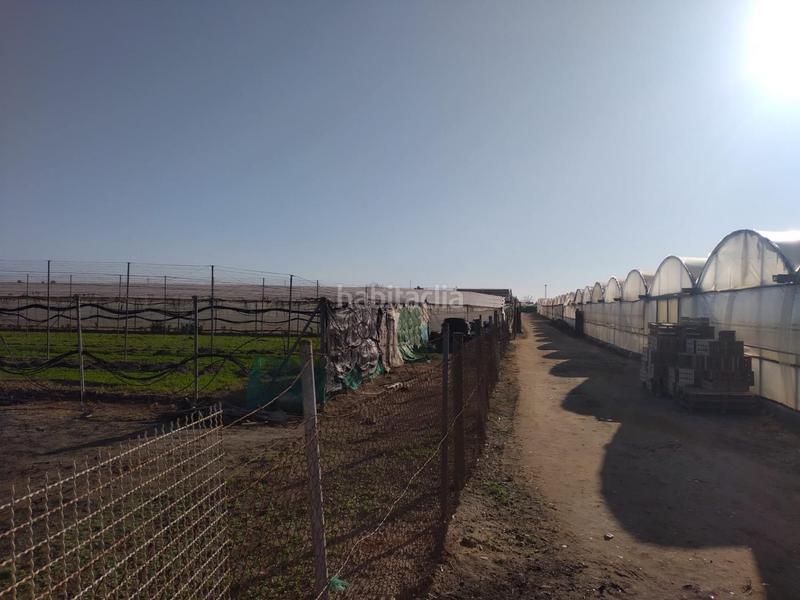 Foto 4d92b905-5be4-46a4-99ca-d1b64a2d0ce0. Terreno residenziale in La Jara Sanlúcar de Barrameda