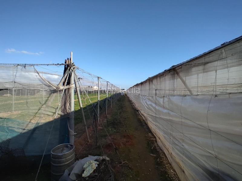 Foto 546f571c-2e0e-42e2-a069-b099f6183e20. Terreno residenziale in La Jara Sanlúcar de Barrameda